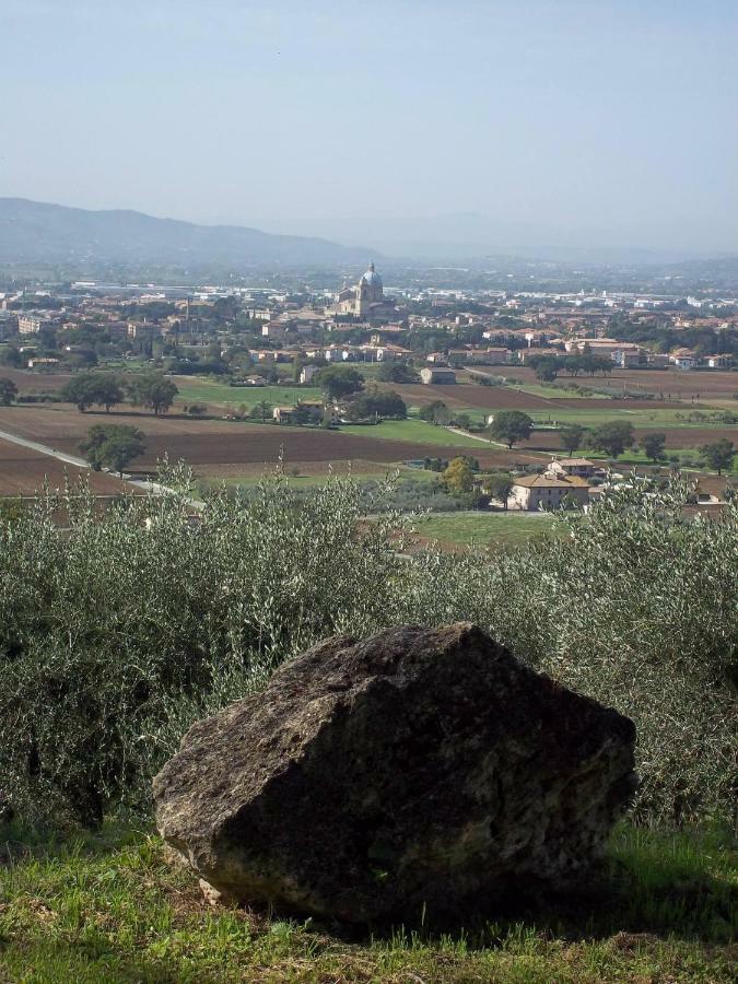 فيلا Casa Per Ferie Ulivo D'أسيسي المظهر الخارجي الصورة
